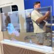 IFA 2025: TCL ArtVision, televizorul transparent care pare desprins dintr-un film SF (Video)