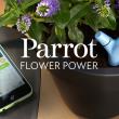 Parrot Flower Power, unealta de nădejde a agricultorilor ajunge la eMAG