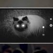 Lumigon T3 e primul smartphone cu vedere nocturnă; Vine cu dotări interesante direct din Danemarca