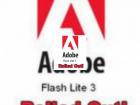 Noul Flash Player de la Adobe aduce experienta Flash pe telefonul mobil