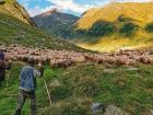 Un fotograf premiat dă sfaturi cu privire la fotografiile ideale cu smartphone-ul, preferă modelele Xperia