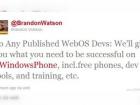 Microsoft atrage de partea sa dezvoltatorii webOS cu gratuități