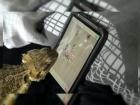 și șopârlele se joacă pe Android - iată reptila gamer pe un smartphone! (Video)