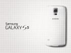 Samsung ar putea lansa o versiune metalică a lui Galaxy S5 peste câteva luni