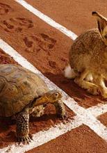 Cugetare: Livrările la timp au fost mereu o problemă, dar măcar ştii unde e coletul..