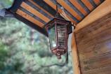 Samsung-Galaxy-A17-5G-Mostre-bokeh_009.jpg