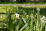 Mostre-bokeh_ (11).jpg