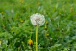 Mostre-bokeh_ (16).jpg