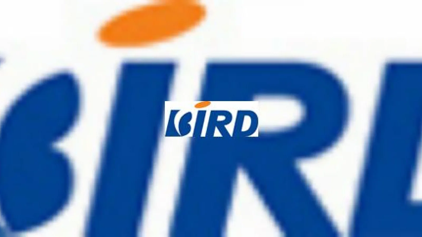 Bird estimeaza pierderi in prima jumatate a anului