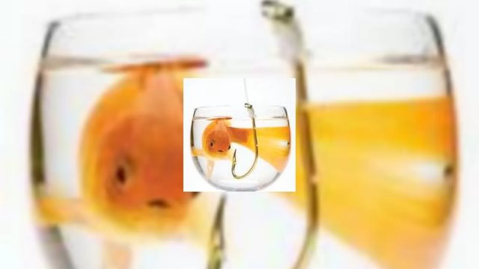 La pescuit de pesti Orange