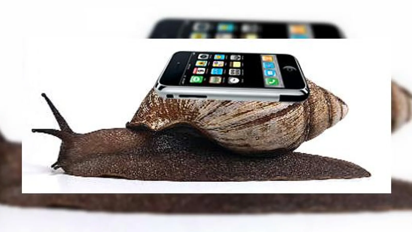 Steve Jobs confirma un iPhone 3G pentru 2008