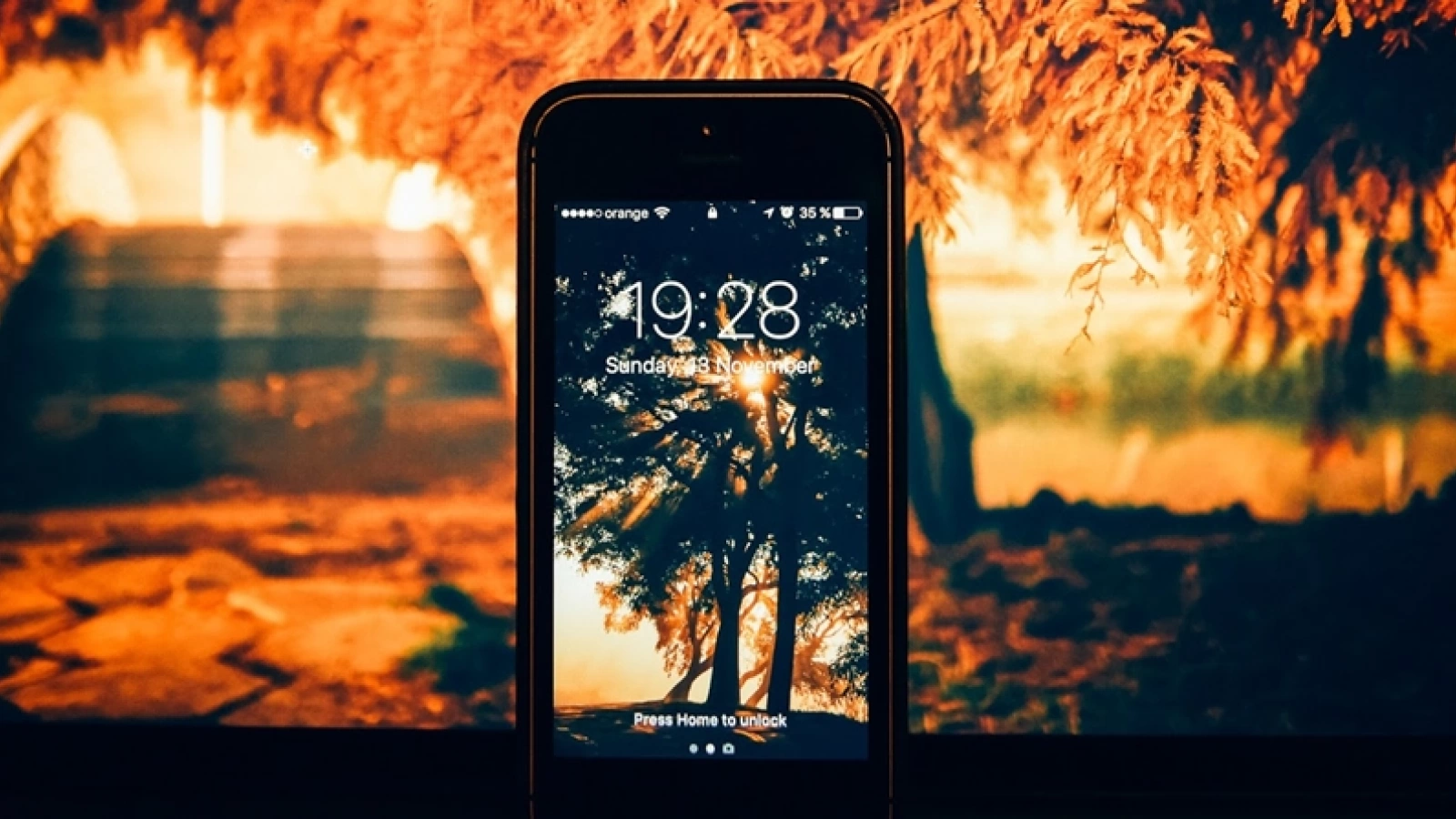 Cele mai frumoase wallpaper-uri de toamnă vin de la fotograful Dragoş Asaftei; Opere de artă pentru fundalul telefonului tău