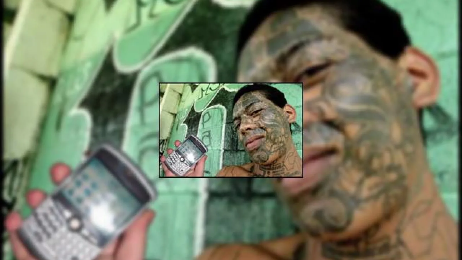 Gangsterii canadieni folosesc terminale BlackBerry pentru a comunica!