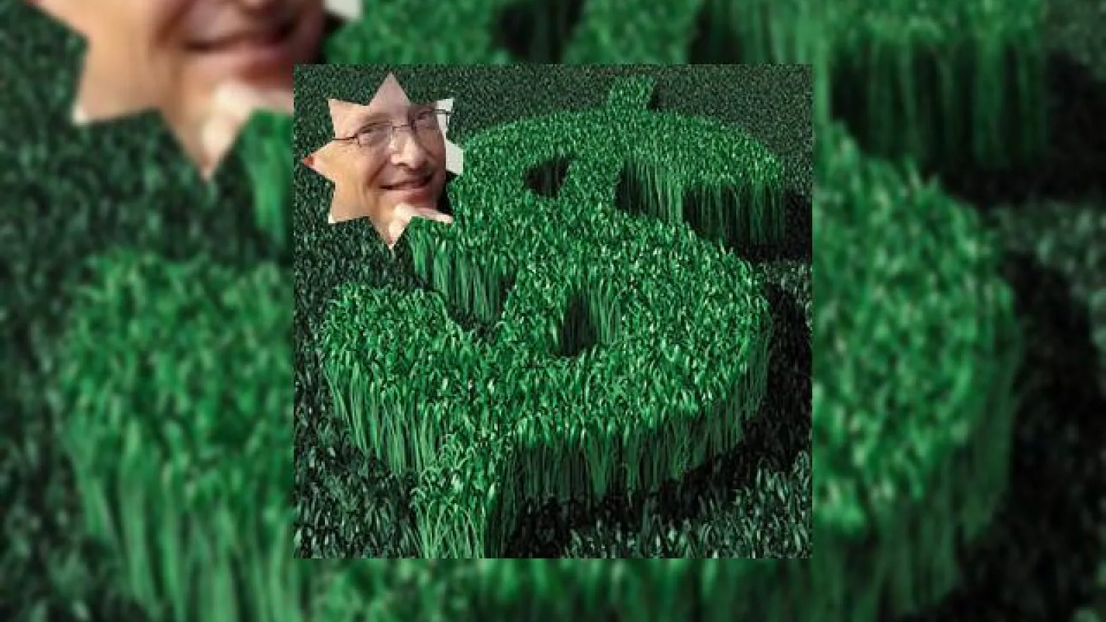 Bill Gates se apuca de agricultura... in Romania?