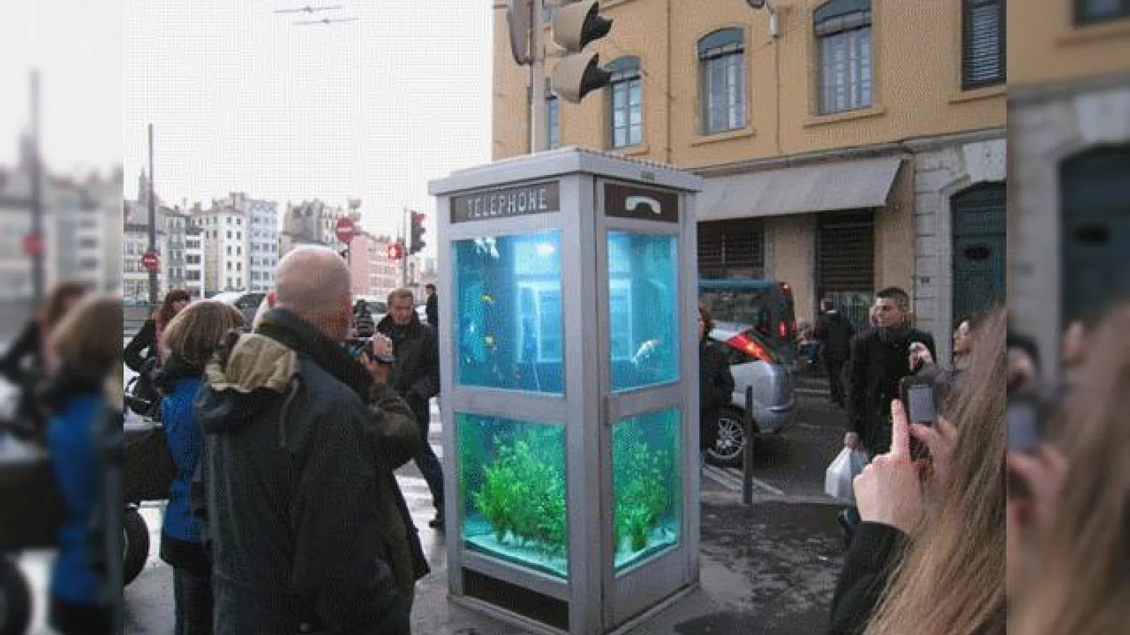 Acvariul din cabina telefonica...doar in Franta