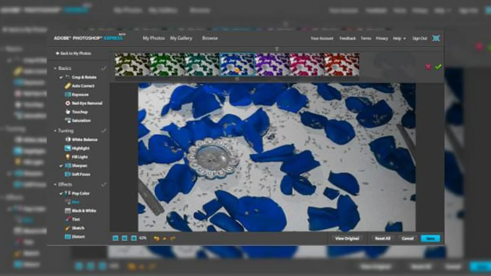 Editeaza-ti pozele online gratuit cu Adobe Photoshop Express