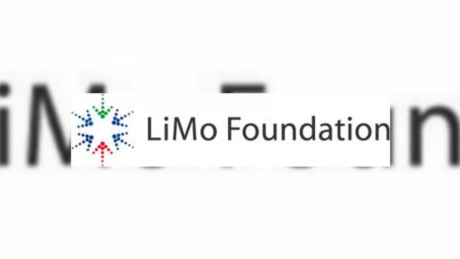 Hai sa dam mana cu mana, sau cum se maresc aliantele gen LiMo Foundation