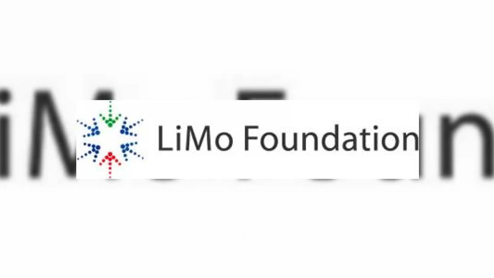 Hai sa dam mana cu mana, sau cum se maresc aliantele gen LiMo Foundation