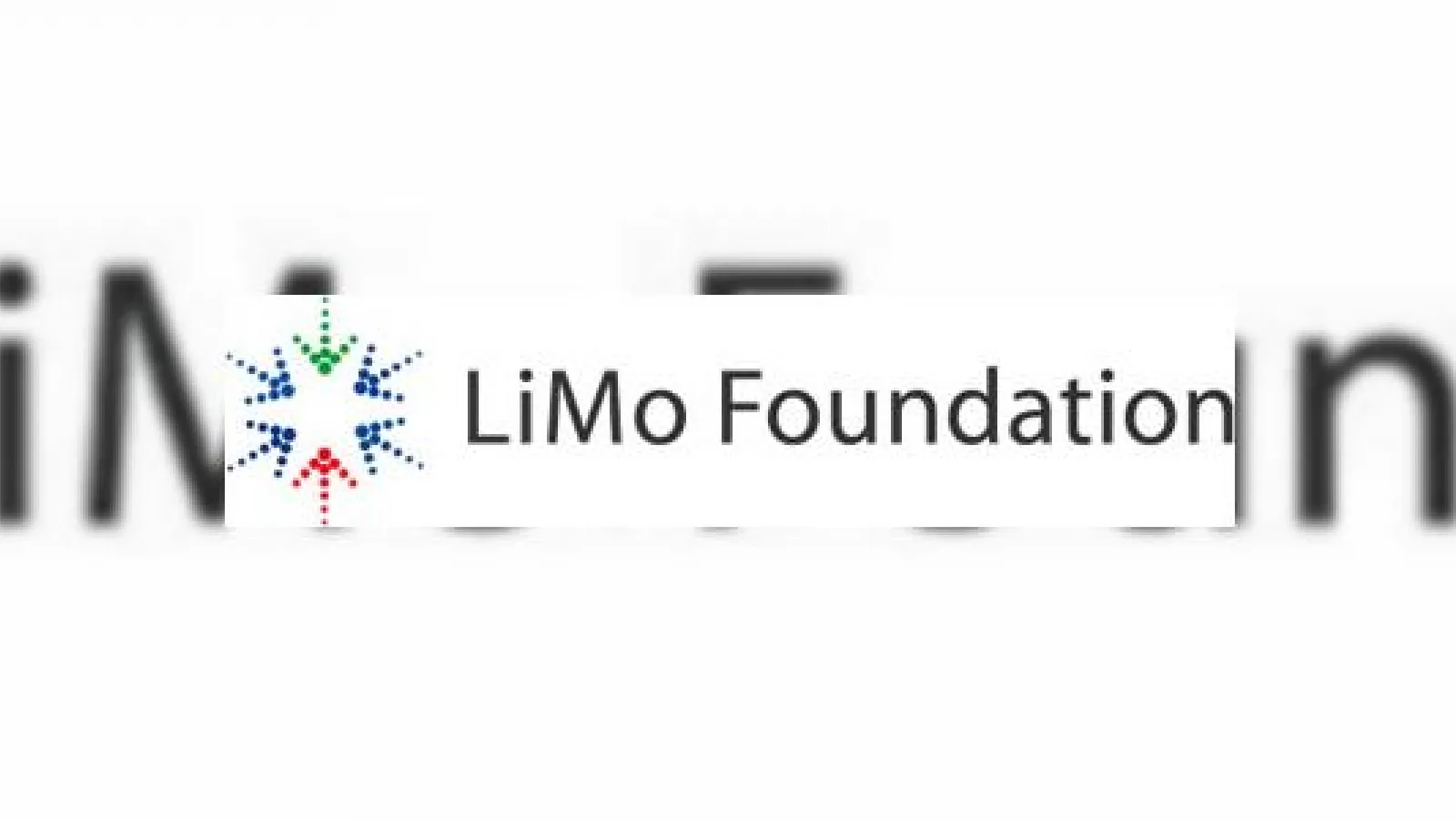 11 noi membri ai Fundatiei LiMo