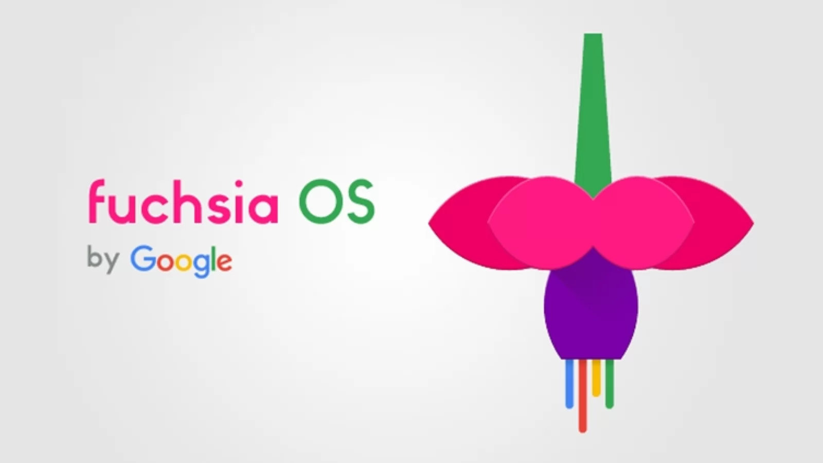 Fuchsia OS suferă o modificare la nivel de numire a kernel-ului; acesta este cunoscut acum sub denumirea "Zircon"