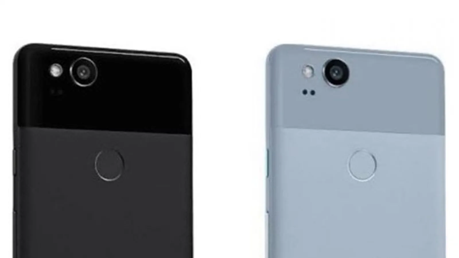 Google Pixel 2 va fi disponibil pe negru, alb și albastru; este vehiculat un preț de pornire de 649 dolari