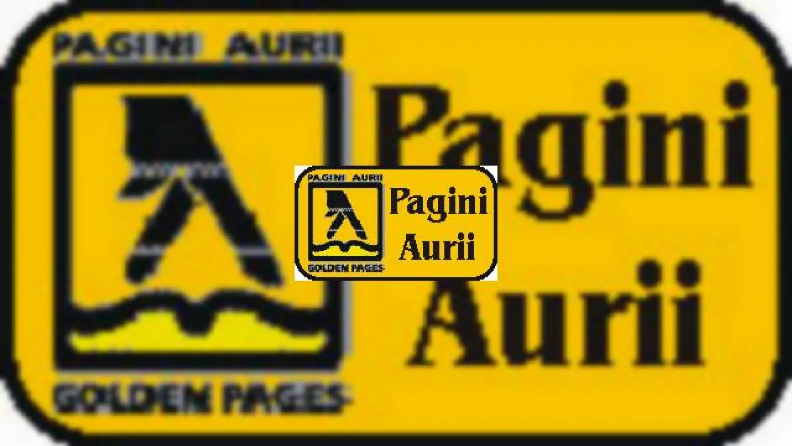 5 oferte pentru serviciul tip "pagini aurii" care va include date despre abonatii serviciilor de telefonie