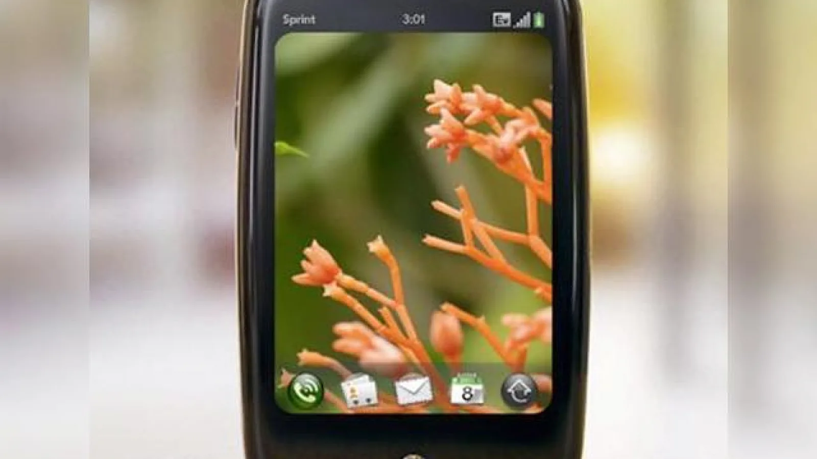 Palm Pre soseste in Romania in toamna sau Chip se grabeste?