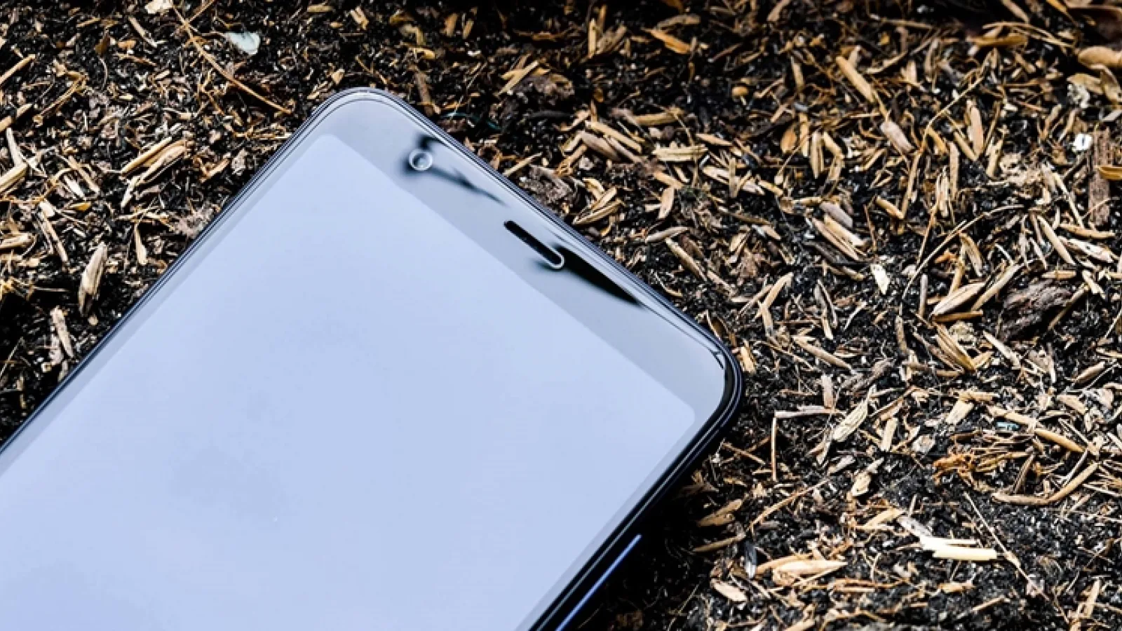 ASUS ZenFone Max Plus costă în jur de 200 de euro; Iată fotografii hands on proaspete cu terminalul