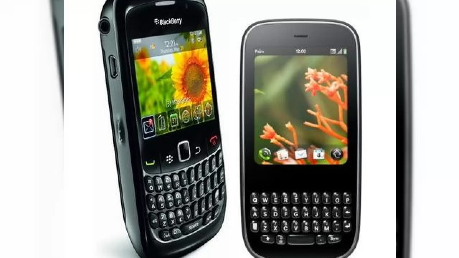 RIM si Palm posteaza rezultatele financiare; profit insemnat, respectiv pierderi succesive