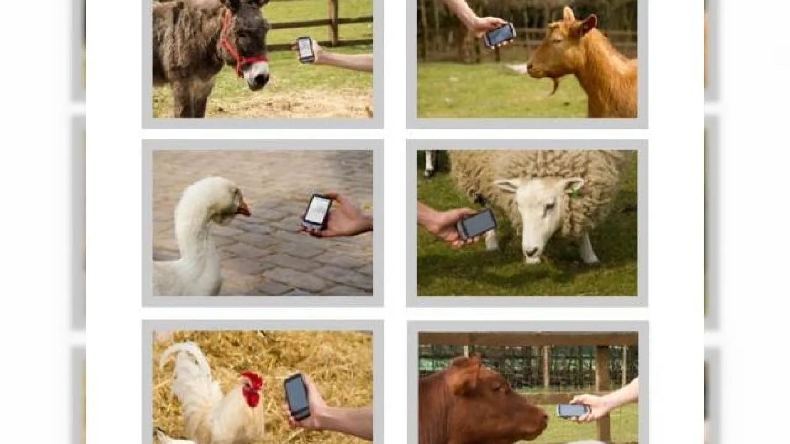 Google lanseaza o aplicatie de 1 Aprilie: Google Translate pentru animale (Video)