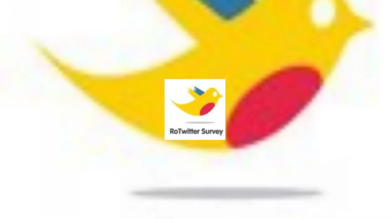 Twitter, noul hit pe piata din Romania?