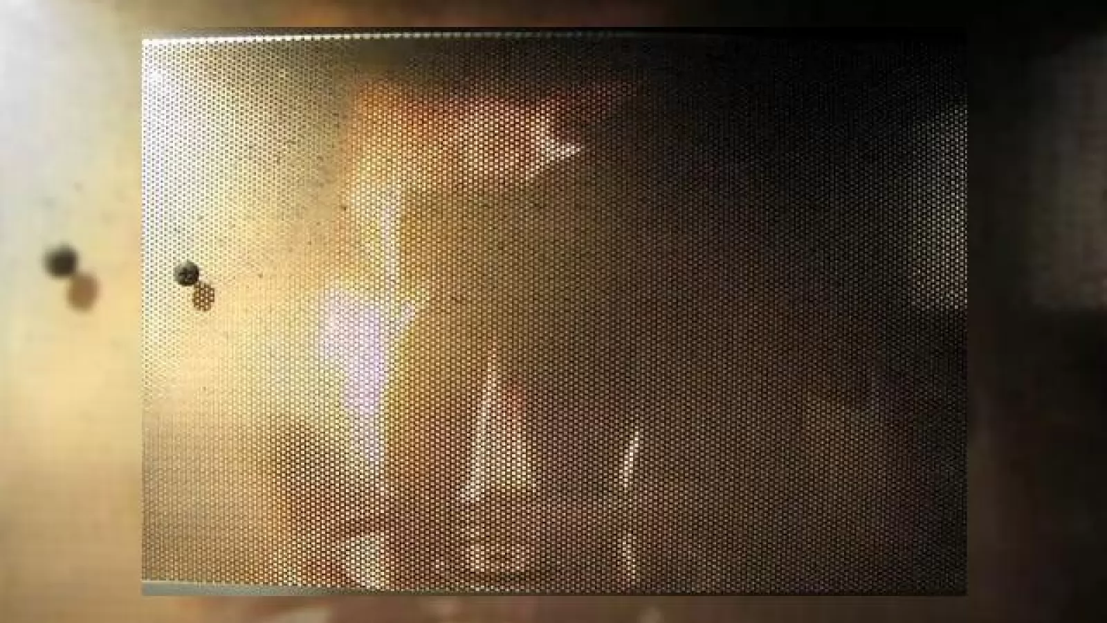 iPad 3G, prajit in cuptorul cu microunde (Video)