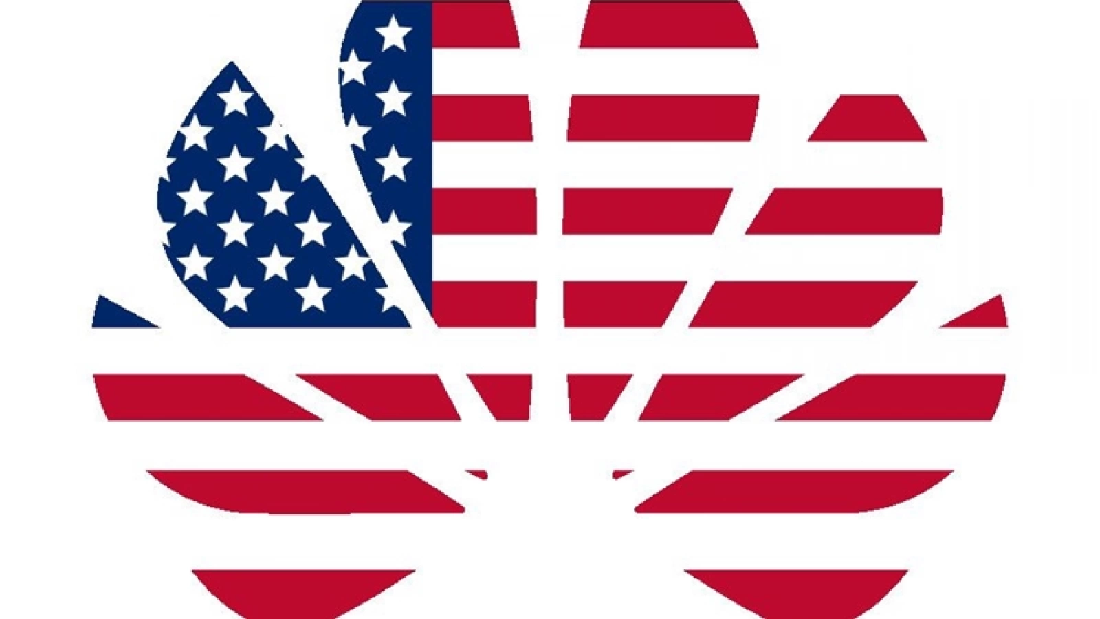 Huawei promite că va continua să cumpere tehnologie americană, dacă produsele sunt de calitate