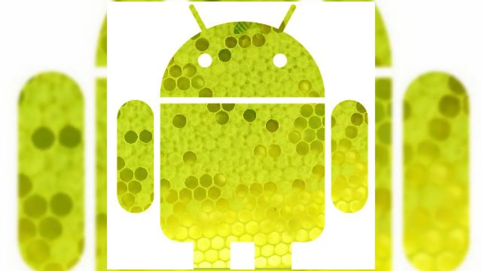 Android 3.5 va purta numele de cod Honeycomb, urmasul lui Gingerbread