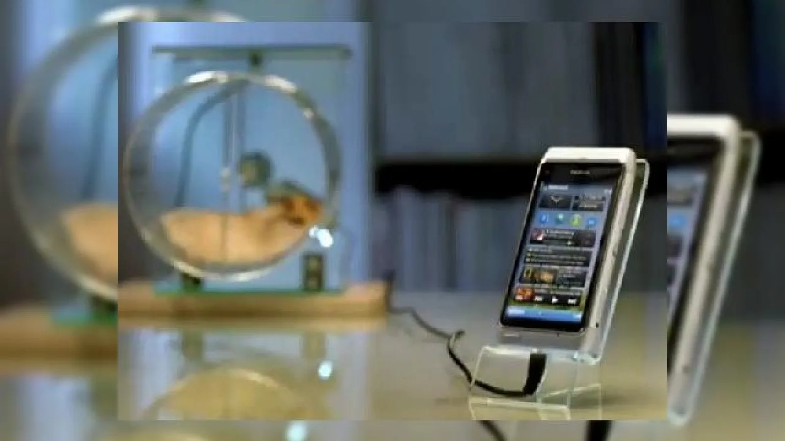 Rozatoarele care-ti incarca telefonul: iata cum folosim un hamster pentru a incarca un Nokia (Video)