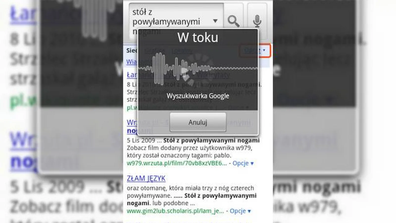 Voice Search in rusa, poloneza, ceha si turca... pe cand si romana?