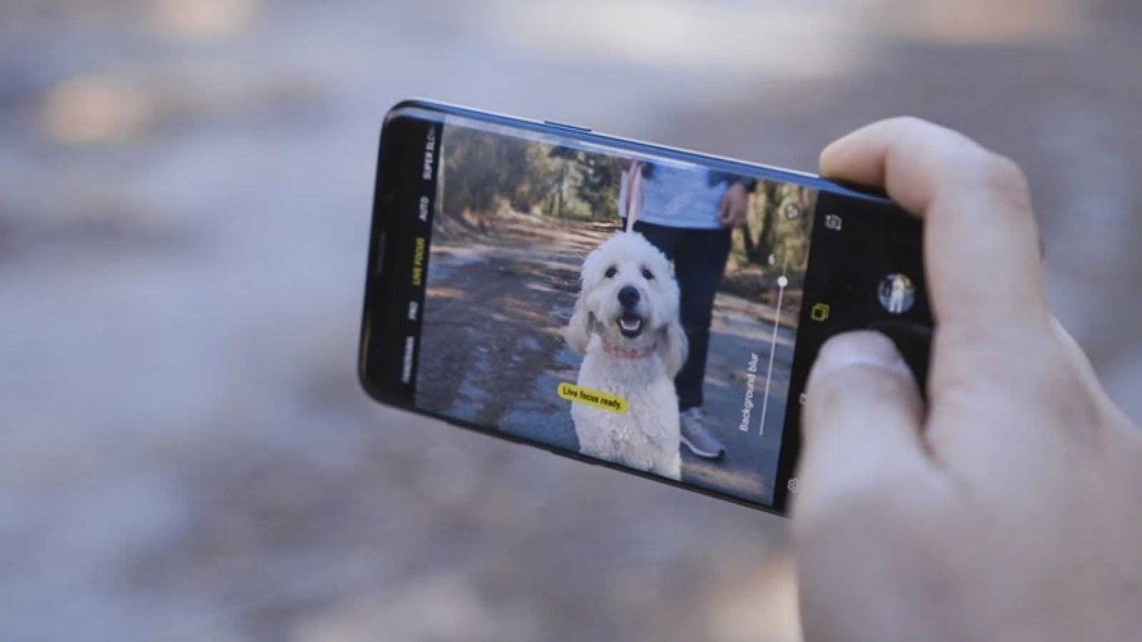 Samsung Galaxy S10 va sosi cu funcția "Artistic Live Focus"; Denumirea este brevetată la EUIPO