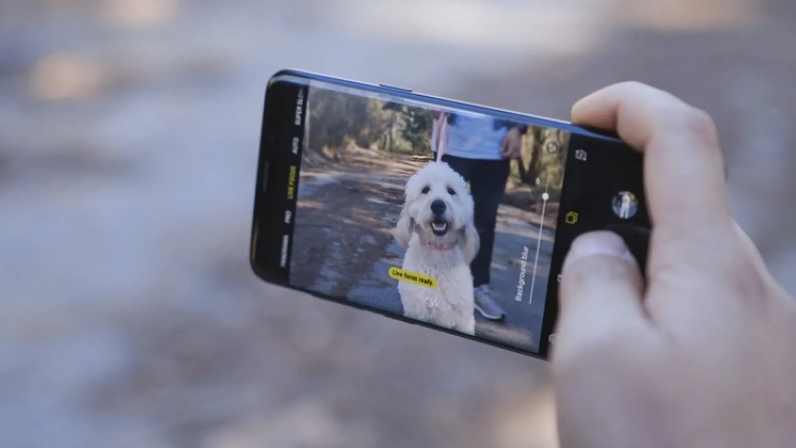 Samsung Galaxy S10 va sosi cu funcția "Artistic Live Focus"; Denumirea este brevetată la EUIPO