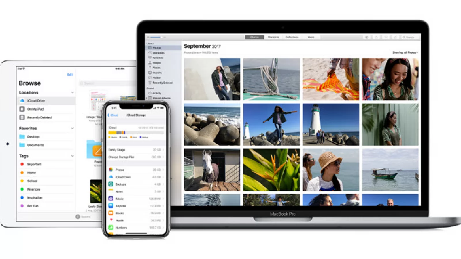 Apple ar urma să unifice aplicaţiile de iPad, iPhone şi Mac până în 2021, conform Bloomberg