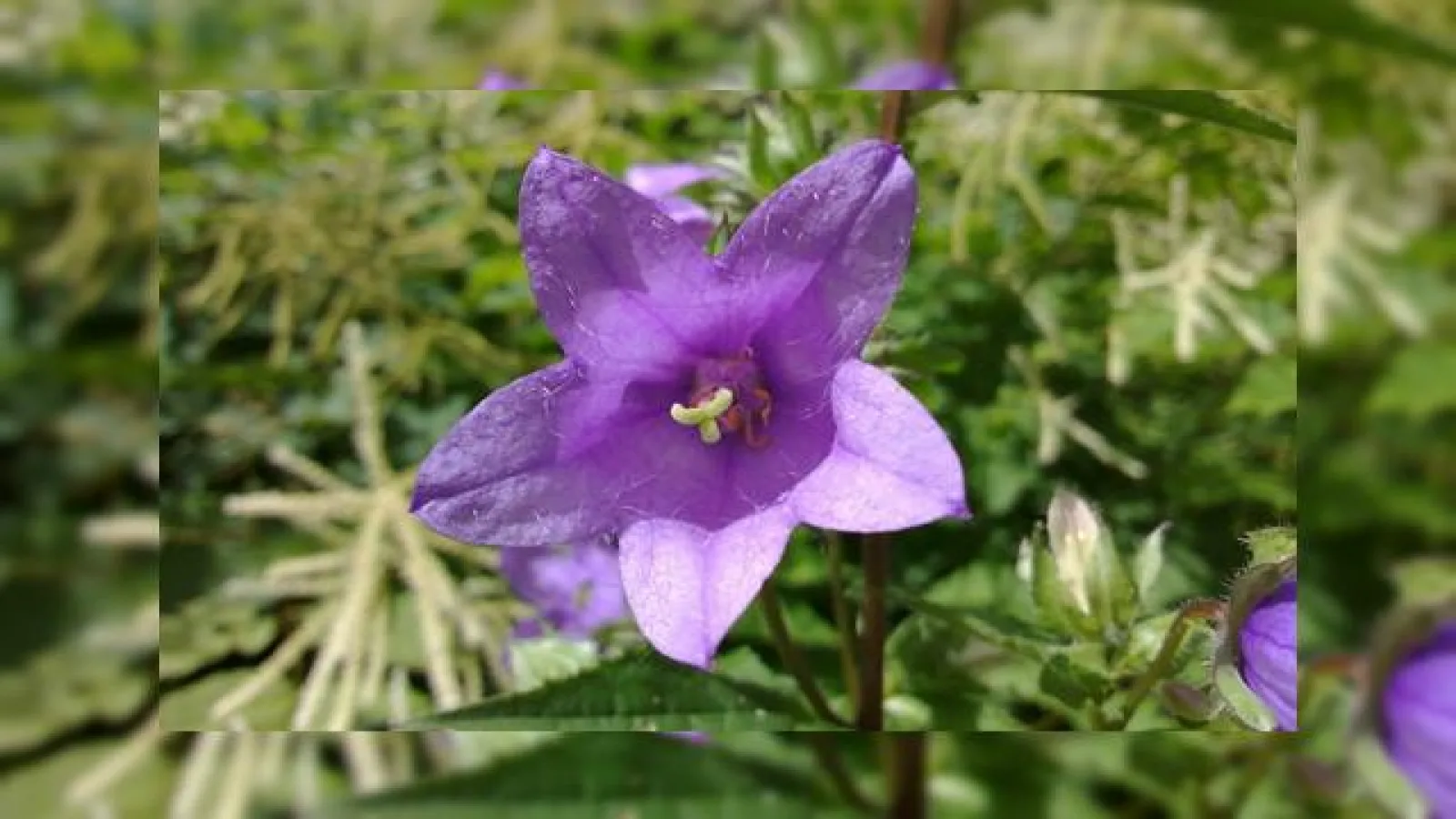 Nokia și fotografii făcute cu N9