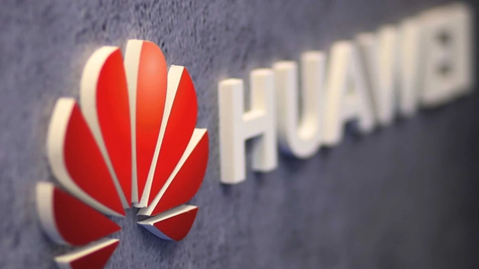 Qualcomm și Intel pun presiune asupra Guvernului SUA pentru a ușura interdicția celor de la Huawei