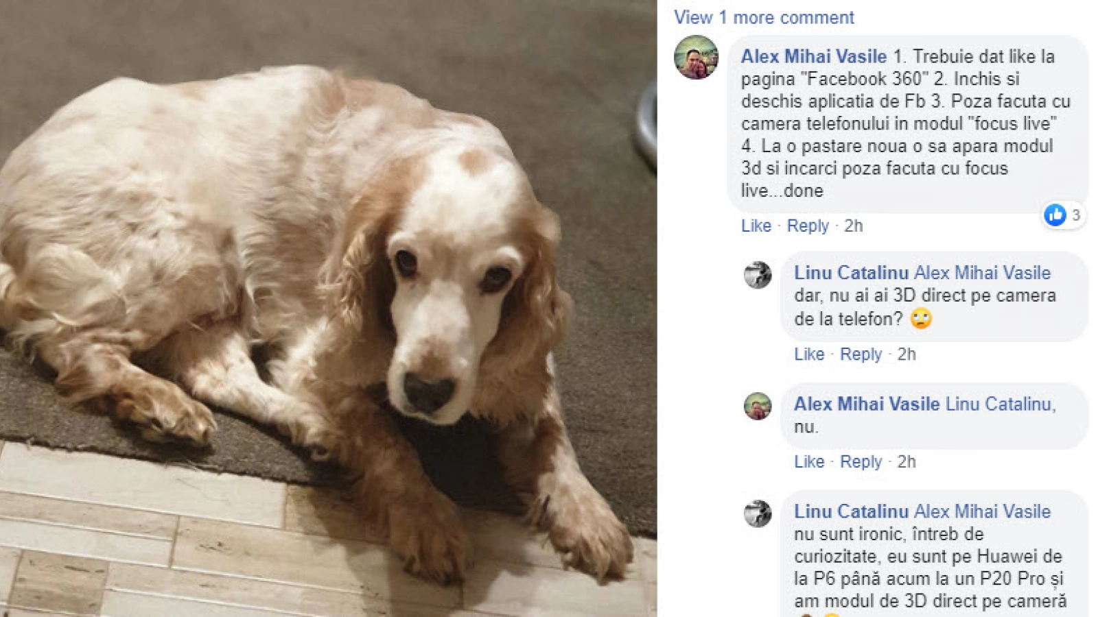 Facebook 3D Photo ajunge şi pe Android, pentru început pe Galaxy Note 9; Iată ce ştim și cum activați opțiunea