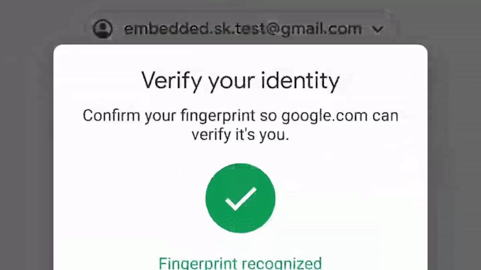 Conturile Google acceptă acum autentificare biometrică, pentru început pe Android
