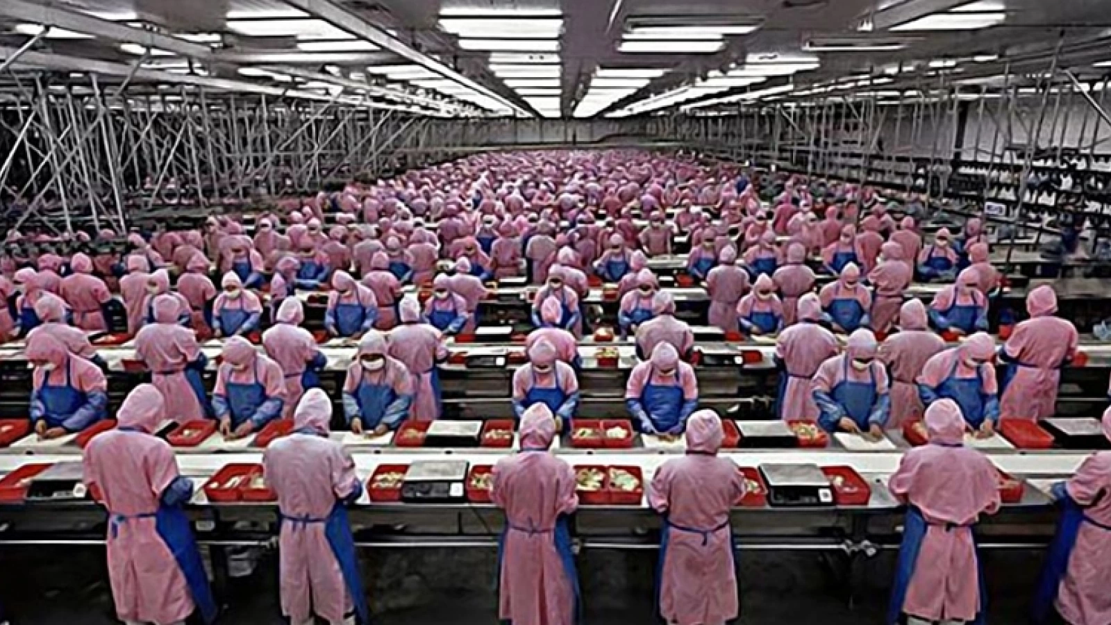 Foxconn ar fi încălcat legile din China pentru a putea produce destule unităţi iPhone 11: muncă peste program, angajati temporari, elevi de liceu