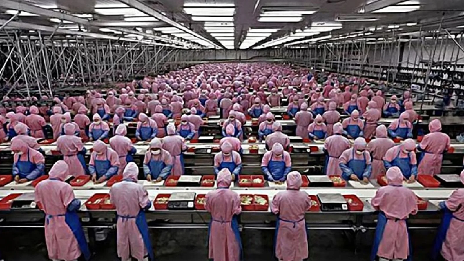Foxconn ar fi încălcat legile din China pentru a putea produce destule unităţi iPhone 11: muncă peste program, angajati temporari, elevi de liceu