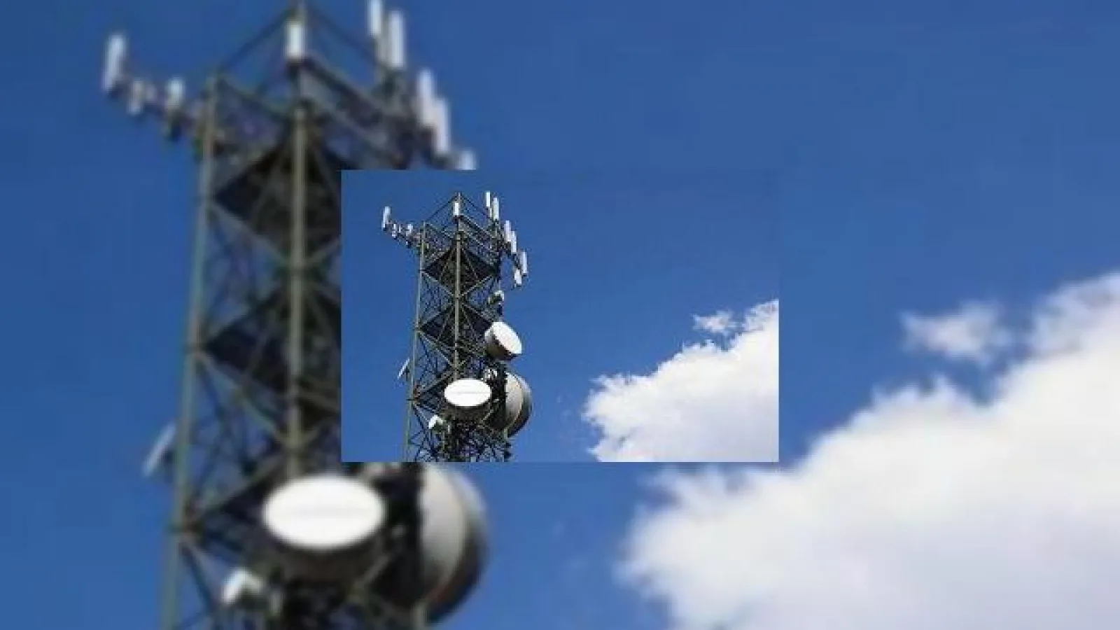 Vodafone și Orange În pericol să-și piardă licențele de funcționare de la 1 ianuarie 2012