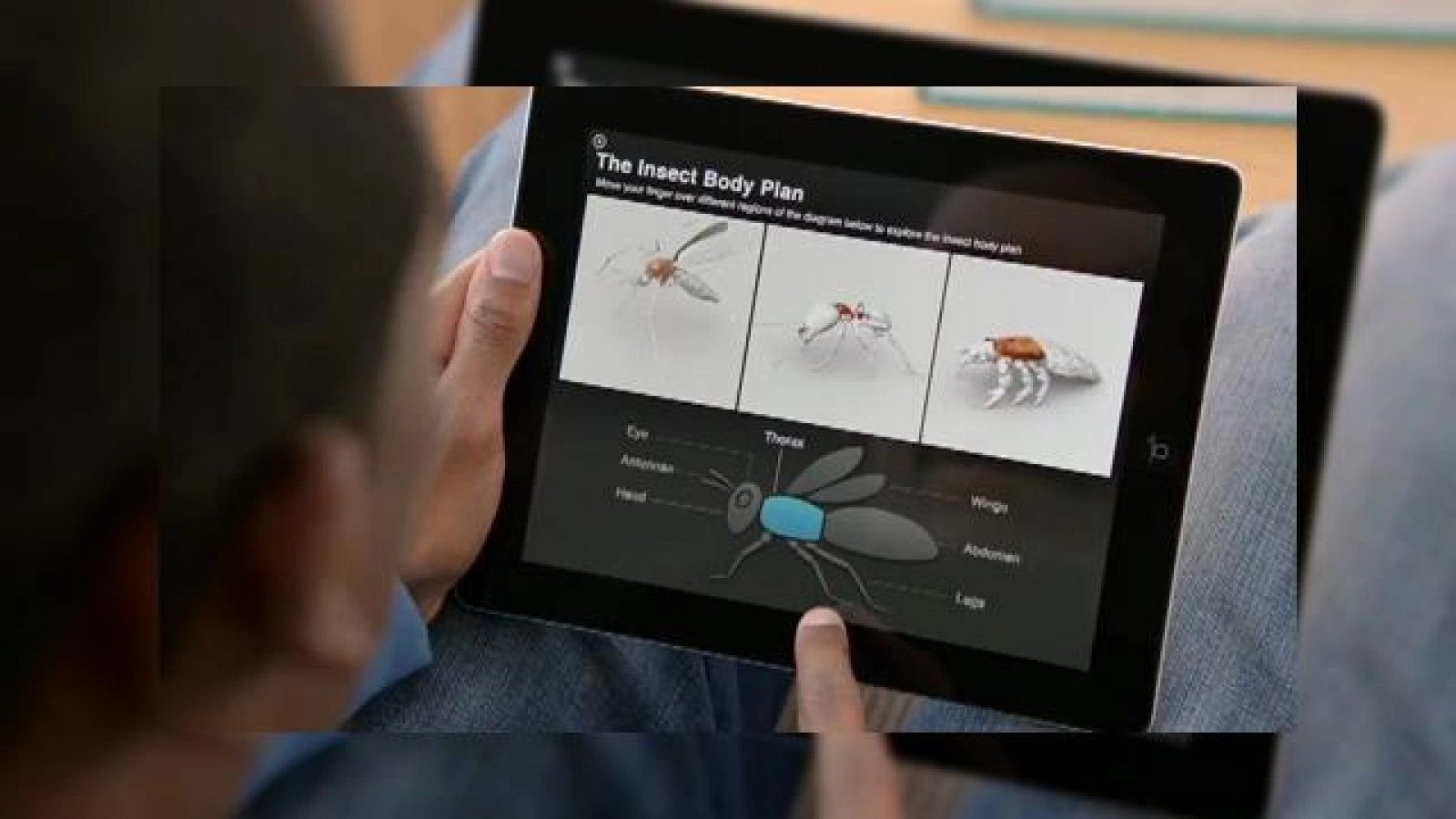 Apple anunță aplicația iBooks Author și platforma de manuale școlare iBooks 2 (Video)