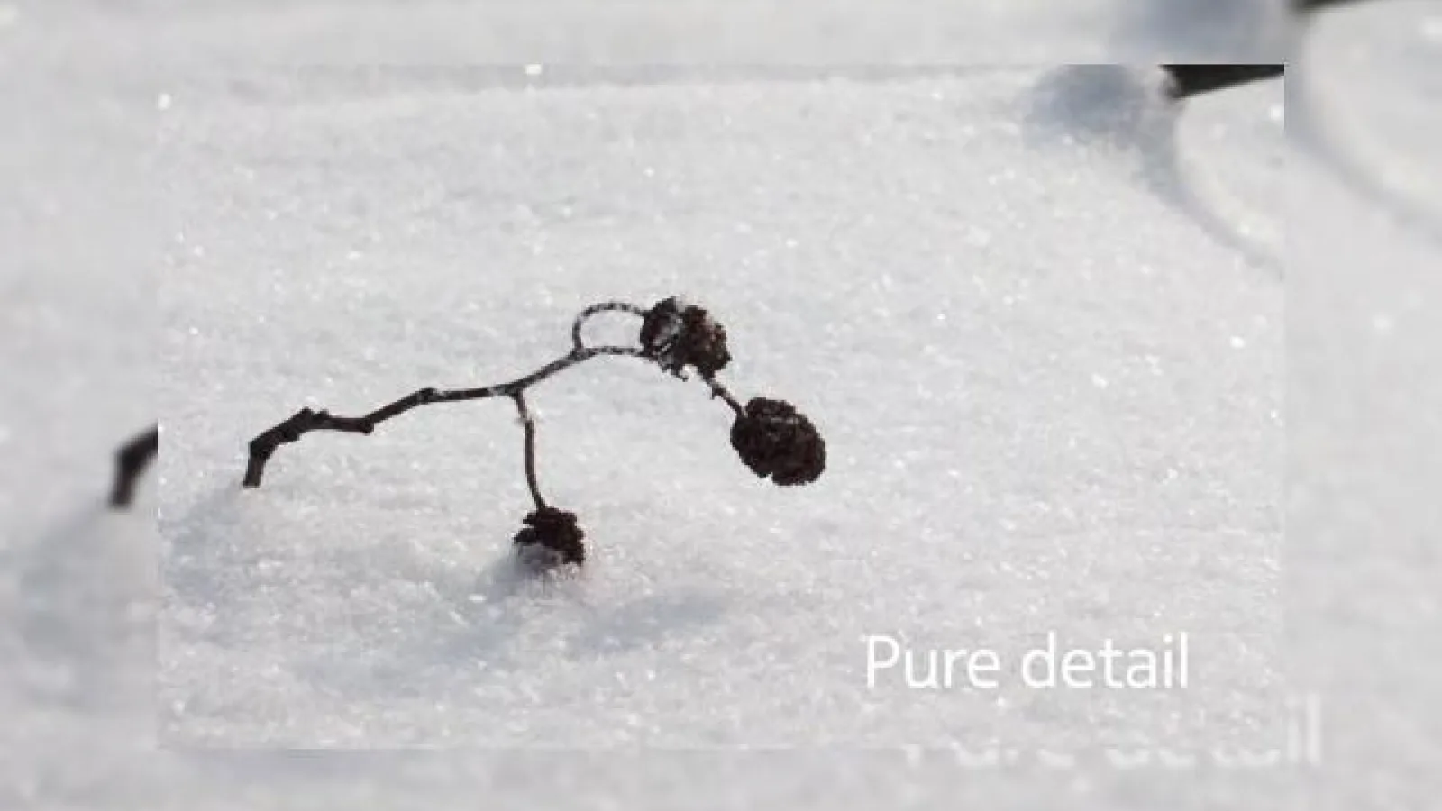 Nokia Pure View are parte de un teaser pentru super-camera sa; Vine la MWC 2012! (Video)