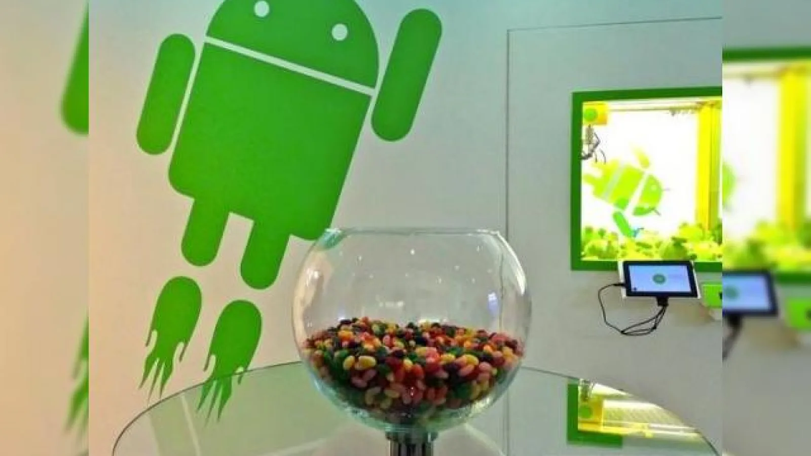 Jelly Bean confirmat din greșeală de ASUS ca nume pentru Android 5.0