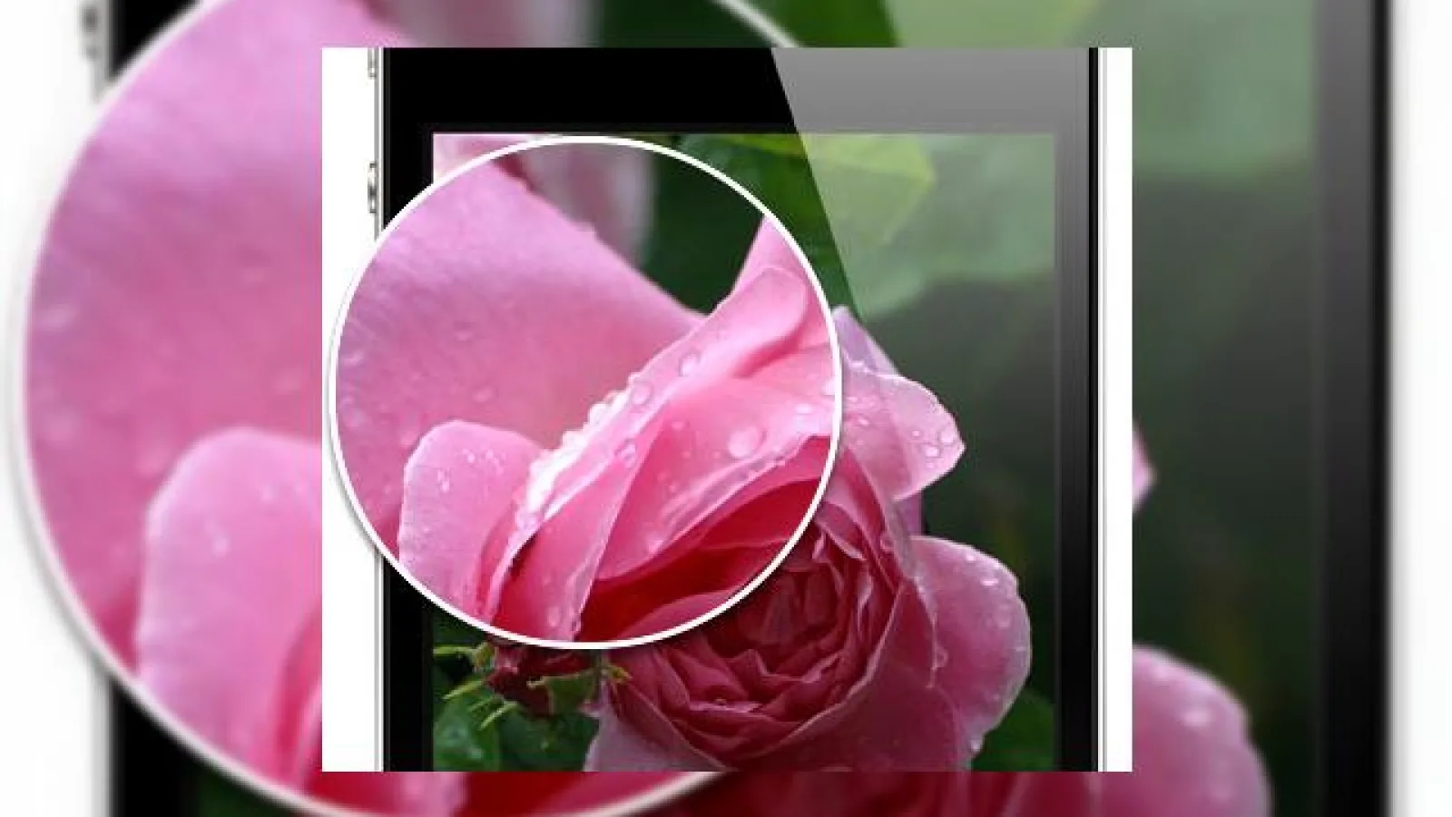 Următorul iPhone ar putea avea ecran de 4.6 inch, tot la nivel Retina